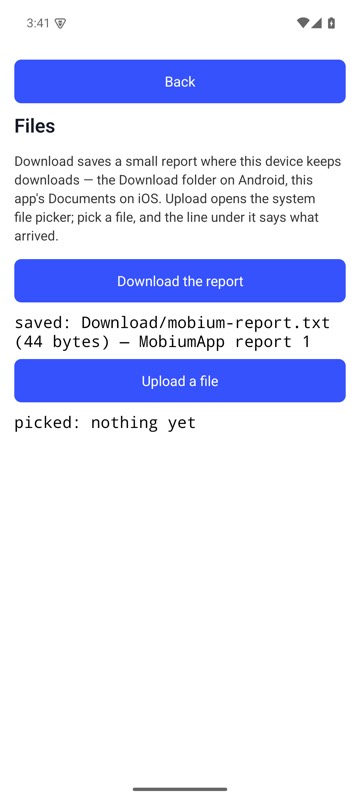 The Files Demo's Download the report saved mobium-report.txt in the Download folder, and the line under it says how big and which save it was; mobium download brought that file back — on an Android 15 emulator