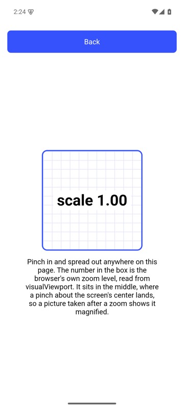 Before: mobium zoom in on an Android 15 emulator